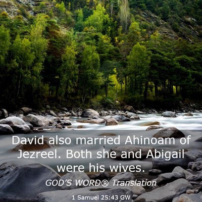 Picture 03 - 1 Samuel 25:43 GW - David also married Ahinoam of Jezreel. Both she - Bible Verse Picture