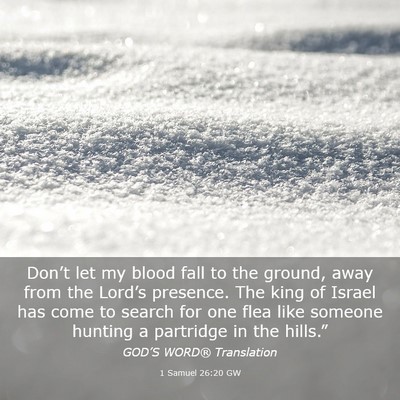 Picture 03 - 1 Samuel 26:20 GW - Don’t let my blood fall to the ground, away - Bible Verse Picture
