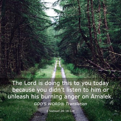 Picture 03 - 1 Samuel 28:18 GW - The Lord is doing this to you today because you - Bible Verse Picture