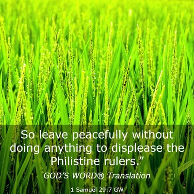 Picture 03 - 1 Samuel 29:7 GW - So leave peacefully without doing anything to - Bible Verse Picture