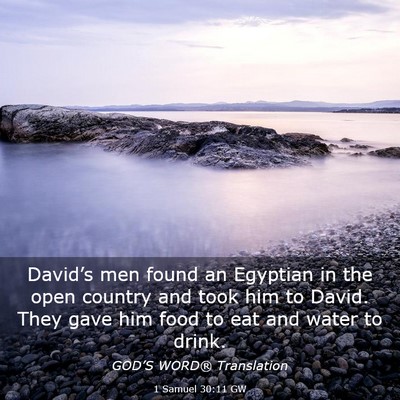 Picture 03 - 1 Samuel 30:11 GW - David’s men found an Egyptian in the open - Bible Verse Picture