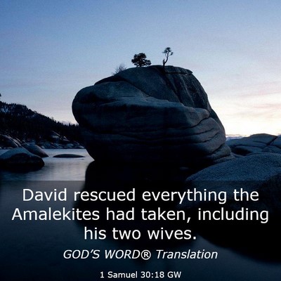 Picture 03 - 1 Samuel 30:18 GW - David rescued everything the Amalekites had - Bible Verse Picture