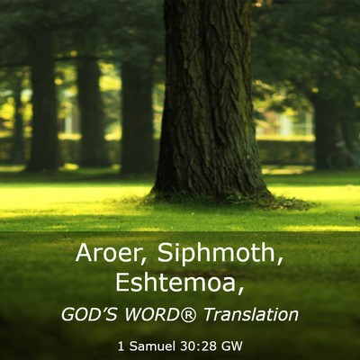 Picture 03 - 1 Samuel 30:28 GW - Aroer, Siphmoth, - Bible Verse Picture