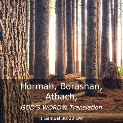 Picture 03 - 1 Samuel 30:30 GW - Hormah, Borashan, - Bible Verse Picture