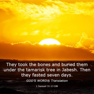 Picture 03 - 1 Samuel 31:13 GW - They took the bones and buried them under the - Bible Verse Picture