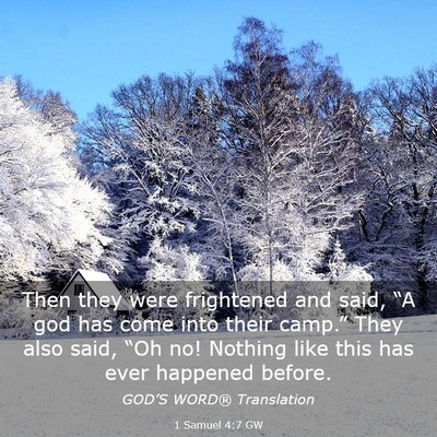 Picture 03 - 1 Samuel 4:7 GW - Then they were frightened and said, “A god has - Bible Verse Picture
