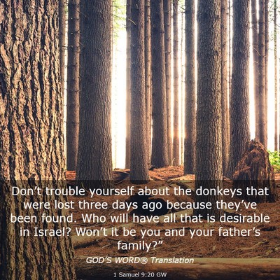 Picture 03 - 1 Samuel 9:20 GW - Don’t trouble yourself about the donkeys that - Bible Verse Picture