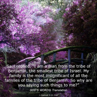 Picture 03 - 1 Samuel 9:21 GW - Saul replied, “I am a man from the tribe of - Bible Verse Picture