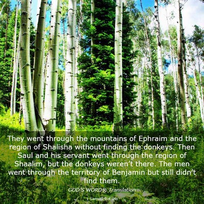 Picture 03 - 1 Samuel 9:4 GW - They went through the mountains of Ephraim and - Bible Verse Picture