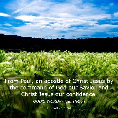 Picture 03 - 1 Timothy 1:1 GW - From Paul, an apostle of Christ Jesus by the - Bible Verse Picture