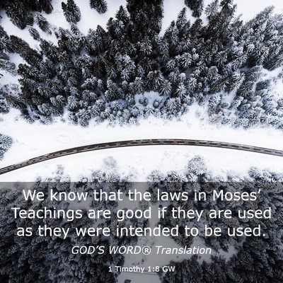 Picture 03 - 1 Timothy 1:8 GW - We know that the laws in Moses’ Teachings are - Bible Verse Picture