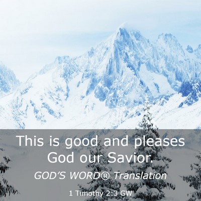 Picture 03 - 1 Timothy 2:3 GW - This is good and pleases God our - Bible Verse Picture