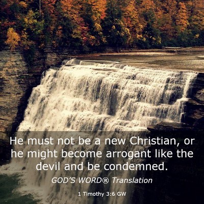 Picture 03 - 1 Timothy 3:6 GW - He must not be a new Christian, or he might - Bible Verse Picture
