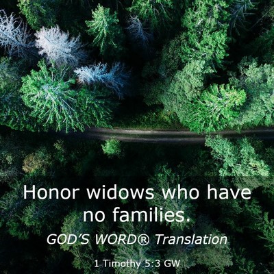 Picture 03 - 1 Timothy 5:3 GW - Honor widows who have no - Bible Verse Picture