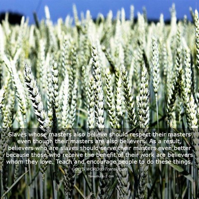 Picture 03 - 1 Timothy 6:2 GW - Slaves whose masters also believe should respect - Bible Verse Picture