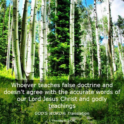 Picture 03 - 1 Timothy 6:3 GW - Whoever teaches false doctrine and doesn’t - Bible Verse Picture
