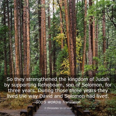 Picture 03 - 2 Chronicles 11:17 GW - So they strengthened the kingdom of Judah by - Bible Verse Picture