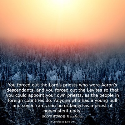 Picture 03 - 2 Chronicles 13:9 GW - You forced out the Lord’s priests who were - Bible Verse Picture