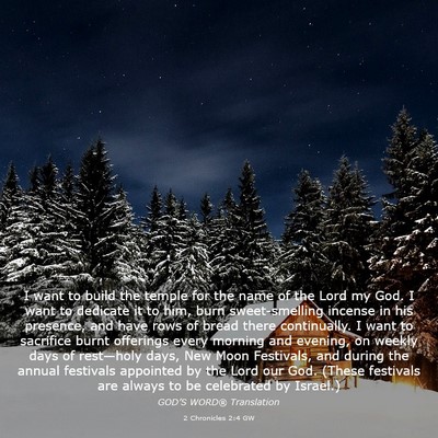 Picture 03 - 2 Chronicles 2:4 GW - I want to build the temple for the name of the - Bible Verse Picture