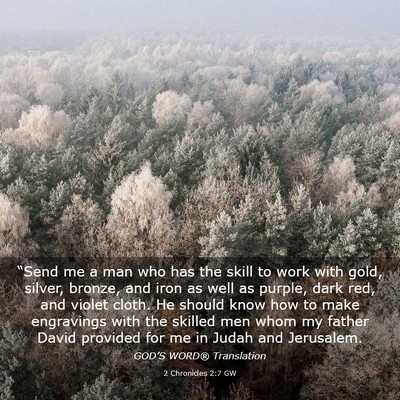 Picture 03 - 2 Chronicles 2:7 GW - “Send me a man who has the skill to work with - Bible Verse Picture