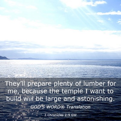 Picture 03 - 2 Chronicles 2:9 GW - They’ll prepare plenty of lumber for me, - Bible Verse Picture