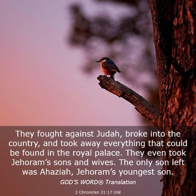 Picture 03 - 2 Chronicles 21:17 GW - They fought against Judah, broke into the - Bible Verse Picture