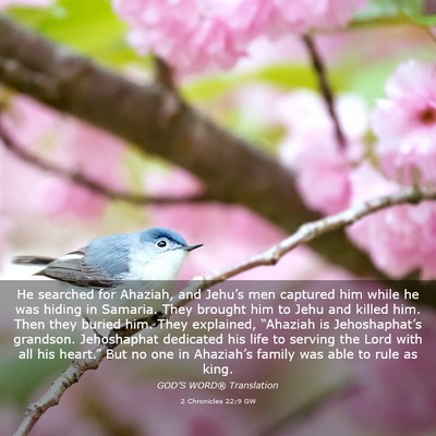 Picture 03 - 2 Chronicles 22:9 GW - He searched for Ahaziah, and Jehu’s men - Bible Verse Picture