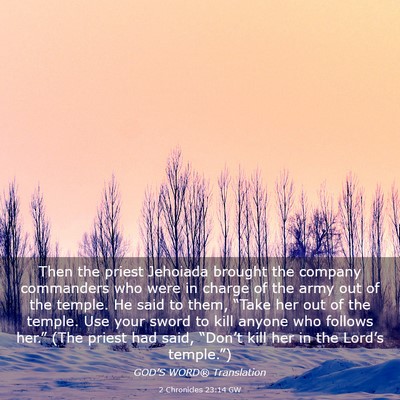 Picture 03 - 2 Chronicles 23:14 GW - Then the priest Jehoiada brought the company - Bible Verse Picture