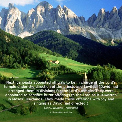 Picture 03 - 2 Chronicles 23:18 GW - Next, Jehoiada appointed officials to be in - Bible Verse Picture