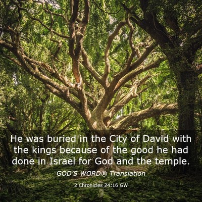 Picture 03 - 2 Chronicles 24:16 GW - He was buried in the City of David with the kings - Bible Verse Picture