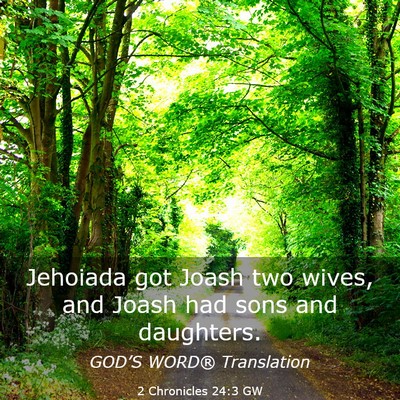Picture 03 - 2 Chronicles 24:3 GW - Jehoiada got Joash two wives, and Joash had sons - Bible Verse Picture