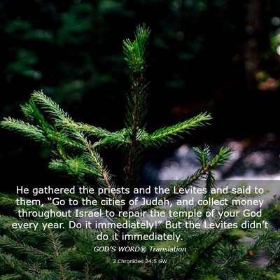 Picture 03 - 2 Chronicles 24:5 GW - He gathered the priests and the Levites and said - Bible Verse Picture