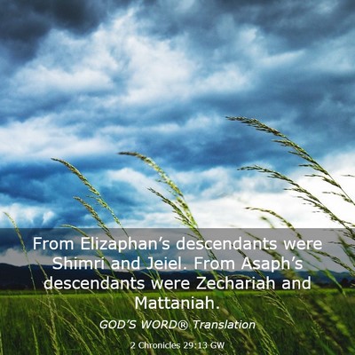 Picture 03 - 2 Chronicles 29:13 GW - From Elizaphan’s descendants were Shimri and - Bible Verse Picture