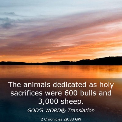 Picture 03 - 2 Chronicles 29:33 GW - The animals dedicated as holy sacrifices were 600 - Bible Verse Picture
