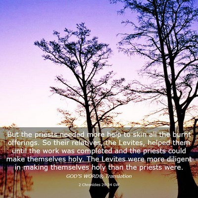 Picture 03 - 2 Chronicles 29:34 GW - But the priests needed more help to skin all the - Bible Verse Picture