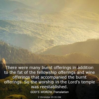 Picture 03 - 2 Chronicles 29:35 GW - There were many burnt offerings in addition to - Bible Verse Picture