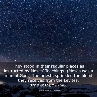 Picture 03 - 2 Chronicles 30:16 GW - They stood in their regular places as instructed - Bible Verse Picture