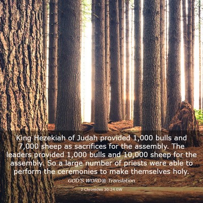 Picture 03 - 2 Chronicles 30:24 GW - King Hezekiah of Judah provided 1,000 bulls and - Bible Verse Picture
