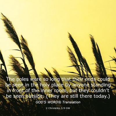 Picture 03 - 2 Chronicles 5:9 GW - The poles were so long that their ends could be - Bible Verse Picture