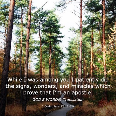 Picture 03 - 2 Corinthians 12:12 GW - While I was among you I patiently did the signs, - Bible Verse Picture