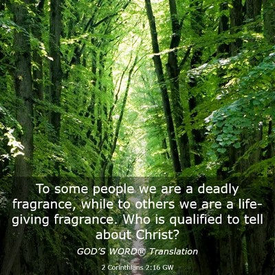 Picture 03 - 2 Corinthians 2:16 GW - To some people we are a deadly fragrance, while - Bible Verse Picture