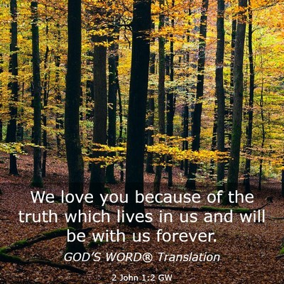 Picture 03 - 2 John 1:2 GW - We love you because of the truth which lives in - Bible Verse Picture