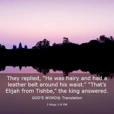 Picture 03 - 2 Kings 1:8 GW - They replied, “He was hairy and had a leather - Bible Verse Picture