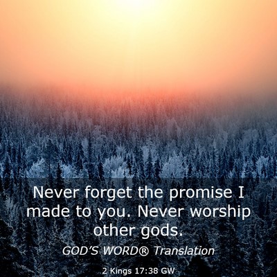 Picture 03 - 2 Kings 17:38 GW - Never forget the promise I made to you. Never - Bible Verse Picture