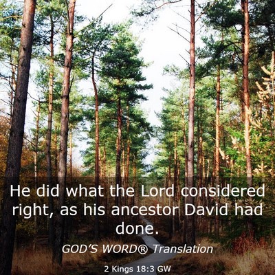 Picture 03 - 2 Kings 18:3 GW - He did what the Lord considered right, as his - Bible Verse Picture