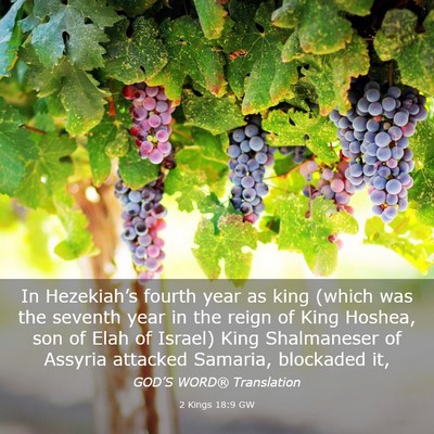 Picture 03 - 2 Kings 18:9 GW - In Hezekiah’s fourth year as king (which was - Bible Verse Picture