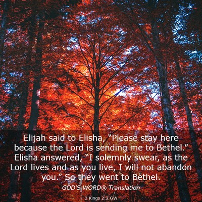 Picture 03 - 2 Kings 2:2 GW - Elijah said to Elisha, “Please stay here - Bible Verse Picture