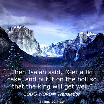 Picture 03 - 2 Kings 20:7 GW - Then Isaiah said, “Get a fig cake, and put it - Bible Verse Picture