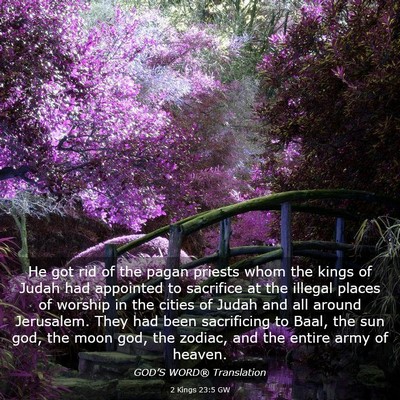 Picture 03 - 2 Kings 23:5 GW - He got rid of the pagan priests whom the kings of - Bible Verse Picture