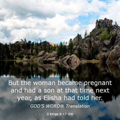 Picture 03 - 2 Kings 4:17 GW - But the woman became pregnant and had a son at - Bible Verse Picture